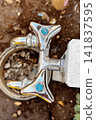A double-spout faucet viewed from above 141837595