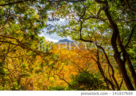 Beautiful autumn foliage and blue sky scenery seen on the hiking trail from Shiraga-dake to Tongari-yama in Hyogo Prefecture during autumn. *Location of photo is indicated in the comments section. Beautiful autumn foliage and blue sky scenery seen on the hiking trail from Shiraga-dake to Tongari-yama in Hyogo Prefecture during autumn. *Location of photo is indicated in the comments section. 141837684