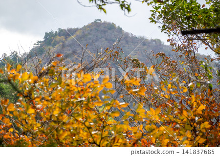 A spectacular autumn view of the mountain slopes and the colorful foliage from the hiking route between Shiragadake and Tongariyama. *The shooting location is indicated in the comments section of the work. A spectacular autumn view of the mountain slopes and the colorful foliage from the hiking route between Shiragadake and Tongariyama. *The shooting location is indicated in the comments section of the work. 141837685