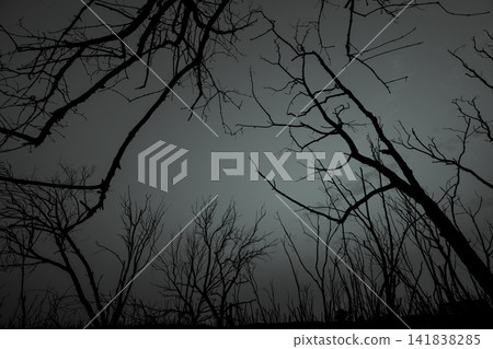 Dead barren trees in a black and white landscape with dramatic copy space. Climate change, ecosystem degradation, environmental disaster, biodiversity decline, and sustainability challenges. Dead barren trees in a black and white landscape with dramatic copy space. Climate change, ecosystem degradation, environmental disaster, biodiversity decline, and sustainability challenges. 141838285