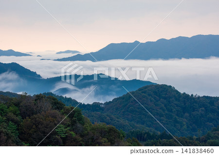 野間町三里町的雲海 野間町三里町的雲海 141838460