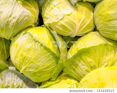 cabbage cabbage 141838525