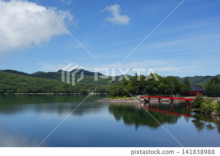 赤城神社的樹鳥橋 赤城神社的樹鳥橋 141838988