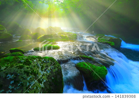 Kikuchi Valley with beautiful rays of light (Kikuchi City) Kikuchi Valley with beautiful rays of light (Kikuchi City) 141839308