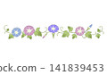 A horizontal line decoration of summer morning glories 141839453