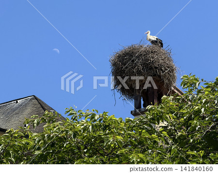 White stork standing on a large nest made of branches against a clear blue sky, Strasbourg, Alsace, France. Wildlife scene symbolizing nesting, breeding, spring and European countryside. White stork standing on a large nest made of branches against a clear blue sky, Strasbourg, Alsace, France. Wildlife scene symbolizing nesting, breeding, spring and European countryside. 141840160