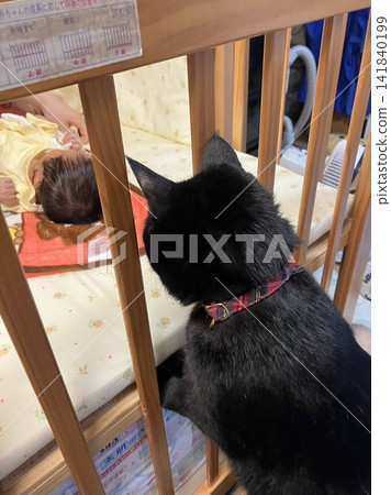 A black cat is surprised to meet a baby for the first time. A black cat is surprised to meet a baby for the first time. 141840199