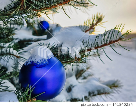 A Christmas tree stands decorated with blue ornaments while snow covers the branches. This scene captures the winter holiday spirit A Christmas tree stands decorated with blue ornaments while snow covers the branches. This scene captures the winter holiday spirit 141840284
