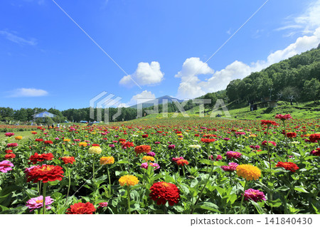 Fujimi Highlands Flower Village Fujimi Highlands Flower Village 141840430