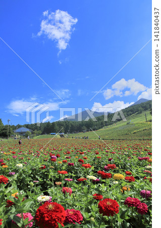 Fujimi Highlands Flower Village Fujimi Highlands Flower Village 141840437