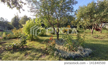 A serene garden in summer features a lush green lawn surrounded by mature trees and vibrant flowering plants. A serene garden in summer features a lush green lawn surrounded by mature trees and vibrant flowering plants. 141840500