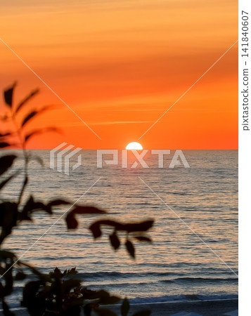 Sunset over the sea with silhouette of branches in the foreground Sunset over the sea with silhouette of branches in the foreground 141840607