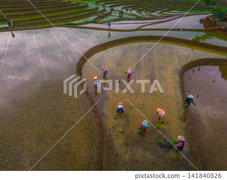 Aerial view of farmers wearing conical hats working in the lush green Tegalalang rice terraces in Tegalalang, Bali, Indonesia. Aerial view of farmers wearing conical hats working in the lush green Tegalalang rice terraces in Tegalalang, Bali, Indonesia. 141840826