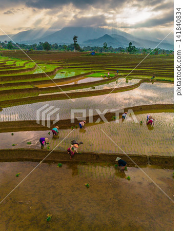 Aerial view of farmers wearing conical hats working in the lush green Tegalalang rice terraces in Tegalalang, Bali, Indonesia. Aerial view of farmers wearing conical hats working in the lush green Tegalalang rice terraces in Tegalalang, Bali, Indonesia. 141840834