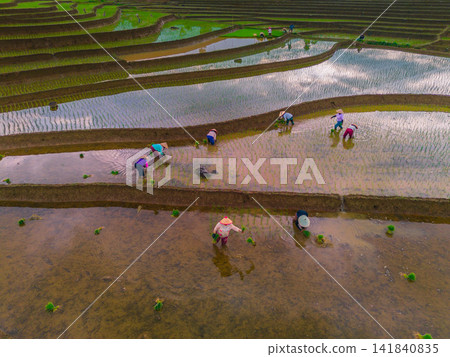 Aerial view of farmers wearing conical hats working in the lush green Tegalalang rice terraces in Tegalalang, Bali, Indonesia. Aerial view of farmers wearing conical hats working in the lush green Tegalalang rice terraces in Tegalalang, Bali, Indonesia. 141840835