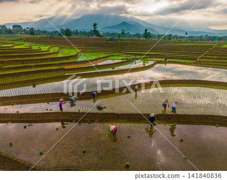 Aerial view of farmers wearing conical hats working in the lush green Tegalalang rice terraces in Tegalalang, Bali, Indonesia. Aerial view of farmers wearing conical hats working in the lush green Tegalalang rice terraces in Tegalalang, Bali, Indonesia. 141840836