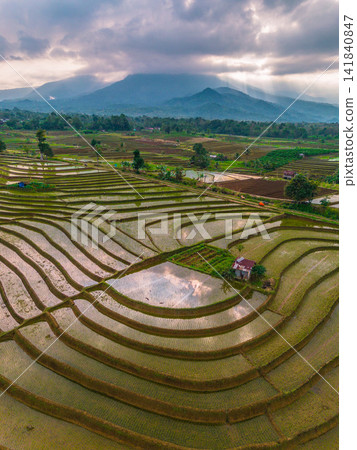 Aerial view of farmers wearing conical hats working in the lush green Tegalalang rice terraces in Tegalalang, Bali, Indonesia. Aerial view of farmers wearing conical hats working in the lush green Tegalalang rice terraces in Tegalalang, Bali, Indonesia. 141840847