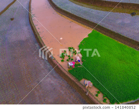 Aerial view of farmers wearing conical hats working in the lush green Tegalalang rice terraces in Tegalalang, Bali, Indonesia. Aerial view of farmers wearing conical hats working in the lush green Tegalalang rice terraces in Tegalalang, Bali, Indonesia. 141840852