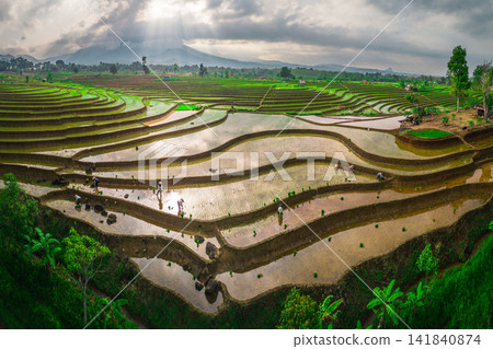 Aerial view of farmers wearing conical hats working in the lush green Tegalalang rice terraces in Tegalalang, Bali, Indonesia. Aerial view of farmers wearing conical hats working in the lush green Tegalalang rice terraces in Tegalalang, Bali, Indonesia. 141840874