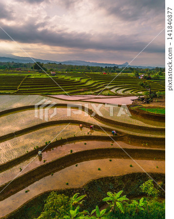 Aerial view of farmers wearing conical hats working in the lush green Tegalalang rice terraces in Tegalalang, Bali, Indonesia. Aerial view of farmers wearing conical hats working in the lush green Tegalalang rice terraces in Tegalalang, Bali, Indonesia. 141840877