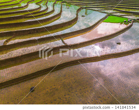 Aerial view of farmers wearing conical hats working in the lush green Tegalalang rice terraces in Tegalalang, Bali, Indonesia. Aerial view of farmers wearing conical hats working in the lush green Tegalalang rice terraces in Tegalalang, Bali, Indonesia. 141841534