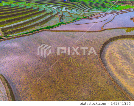 Aerial view of farmers wearing conical hats working in the lush green Tegalalang rice terraces in Tegalalang, Bali, Indonesia. Aerial view of farmers wearing conical hats working in the lush green Tegalalang rice terraces in Tegalalang, Bali, Indonesia. 141841535