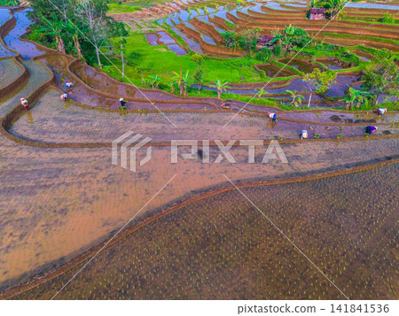 Aerial view of farmers wearing conical hats working in the lush green Tegalalang rice terraces in Tegalalang, Bali, Indonesia. Aerial view of farmers wearing conical hats working in the lush green Tegalalang rice terraces in Tegalalang, Bali, Indonesia. 141841536