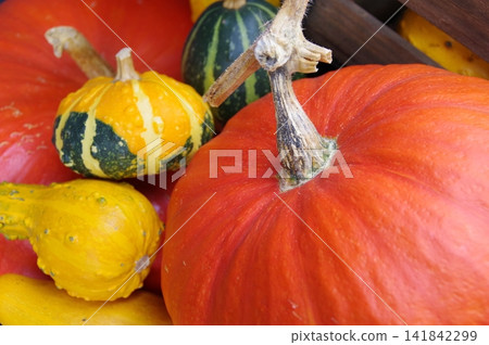Three pumpkins for autumn store decorations Three pumpkins for autumn store decorations 141842299