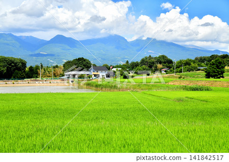 從禦牧原眺望淺間山（長野縣富富市）[2026年8月] 141842517