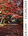 Bishamondo Temple in autumn: Maple leaves and the Yakui-mon gate (Yamashina Ward, Kyoto City) 141842664