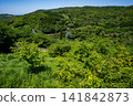 Scenery of Kannon-ga-ike Pond (Ichiki-Kushikino City) 141842873