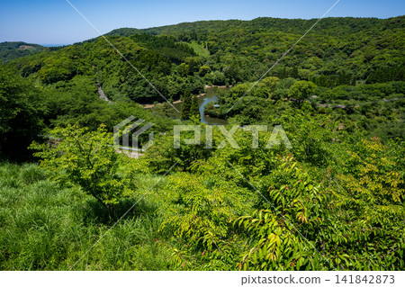 觀音池風景(市立木串野市) 觀音池風景(市立木串野市) 141842873