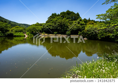 觀音池風景(市立木串野市) 觀音池風景(市立木串野市) 141842875