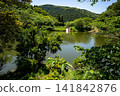 Scenery of Kannon-ga-ike Pond (Ichiki-Kushikino City) 141842876