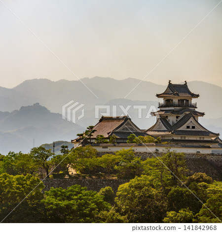 高知城是日本現存的十二座原始城堡天守閣之一,沐浴在晨曦之中。 高知城是日本現存的十二座原始城堡天守閣之一,沐浴在晨曦之中。 141842968