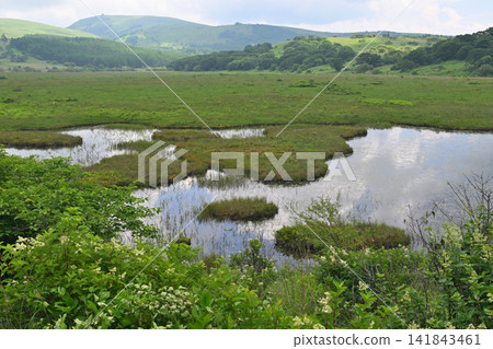 Scenery of the ponds in Yashimagahara Marshland Scenery of the ponds in Yashimagahara Marshland 141843461