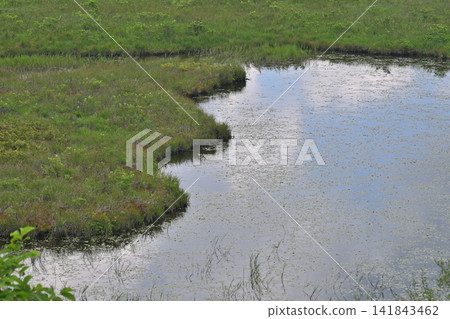 The pond in Yashimagahara Marshland reflects the sky. 141843462