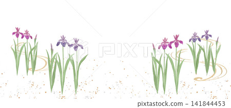 Watercolor illustration of irises Watercolor illustration of irises 141844453
