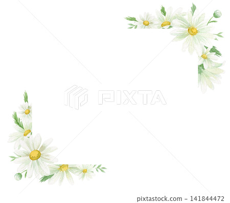 Watercolor painting of daisies and marguerites in a frame Watercolor painting of daisies and marguerites in a frame 141844472