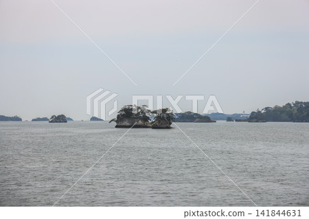 April 28 2026 MATSUSHIMA, JAPAN. Coastal pine covered island April 28 2026 MATSUSHIMA, JAPAN. Coastal pine covered island 141844631
