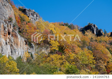 秋日藍天與五彩山谷:層雲峽 秋日藍天與五彩山谷:層雲峽 141844763