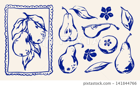 Hand Drawn Pear Fruit and Botanical Elements Set in Ink Blue Line Sketch Style Hand Drawn Pear Fruit and Botanical Elements Set in Ink Blue Line Sketch Style 141844766