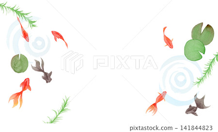 Watercolor illustration of swimming goldfish Watercolor illustration of swimming goldfish 141844823