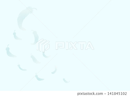 散落的羽毛 - 輪廓 - 左側 散落的羽毛 - 輪廓 - 左側 141845102