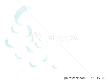 散落的羽毛 - 輪廓 - 左側 散落的羽毛 - 輪廓 - 左側 141845105