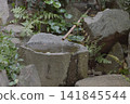 日式花園中，石砌水盆裡，清水從竹製水龍頭中流出，周圍綠樹環繞。 141845544