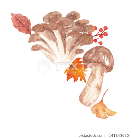 Watercolor mushroom frame material Watercolor mushroom frame material 141845620