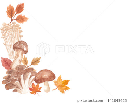 Watercolor mushroom frame Watercolor mushroom frame 141845623