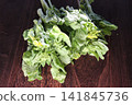 Chinese cabbage flower - 1 141845736