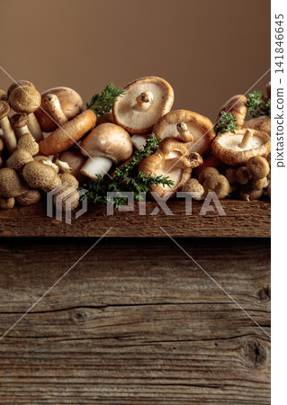 An assortment of mushrooms on a rustic wooden board with sprigs of thyme. An assortment of mushrooms on a rustic wooden board with sprigs of thyme. 141846645